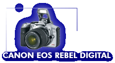 Click aqu&iacute; para mas informaci&oacute;n